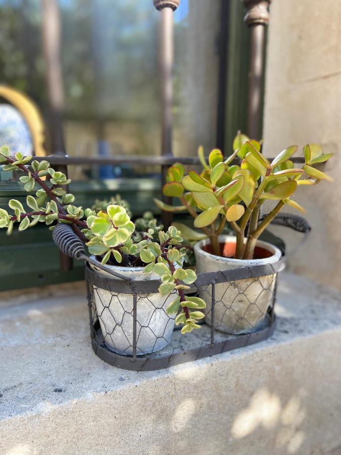 Le Jardinet De Rosa Maison De Village Eygalières Kültér fotó